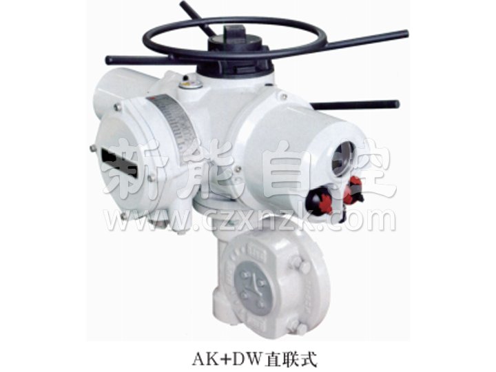 AK+DW(direct connection) part rotary intelligent electricactuator